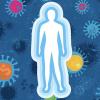 Как укрепить иммунитет и защититься от ОРВИ и, вероятно, COVID-19. Факты доказанные наукой
