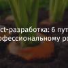 React-разработка: 6 путей к профессиональному росту