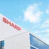 Sharp приписывают намерение выделить производство дисплеев в самостоятельный бизнес