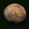 Илон Маск: «Марс — свободная планета, там не действуют законы Земли»