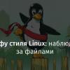 Кунг-фу стиля Linux: наблюдение за файлами