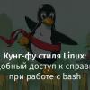 Кунг-фу стиля Linux: удобный доступ к справке при работе с bash