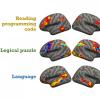 Вот ваш мозг на Питоне: исследователи расшифровали нейро-механику программирования