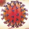Убить коронавирус за 30 секунд. В Японии создан уникальный гаджет