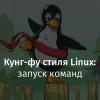 Кунг-фу стиля Linux: запуск команд