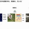 С 5G и роботами. Huawei анонсировала суперсовременную интеллектуальную платформу для выращивания свиней