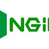 Вышел релиз nginx 1.20.0
