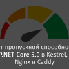 Тест пропускной способности ASP.NET Core 5.0 в Kestrel, IIS, Nginx и Caddy