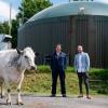 Илон Маск одобрил бы. Британский фермер использует коровий навоз для питания электричеством фермы, добывающей Ethereum