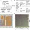 Специалисты Arm и PragmatIC Semiconductor создали «изначально гибкий» 32-разрядный микропроцессор PlasticARM