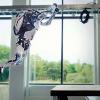 Очень эффектное видео. Boston Dynamics показала робота Atlas, который занимается паркуром и делает сальто назад