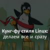 Кунг-фу стиля Linux: делаем все и сразу