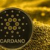 За ночь Bitcoin подорожал на 2000 долларов, Ethereum стоит уже 3750 долларов, а Cardano поставила новый рекорд