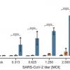 Все же слипнется: Влияние SARS-CoV-2 на нервные ткани