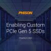 У Phison готова настраиваемая платформа для твердотельных накопителей с интерфейсом PCIe Gen 5