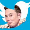Негатив не пройдёт: Илон Маск объявил о новой политике в Twitter