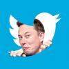 Штат работников Twitter сократился на 80% после прихода Илона Маска