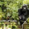 Смартфоны Samsung Galaxy S23 первыми получат защитное стекло Gorilla Glass Victus 2