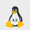 Всего два месяца — и новый релиз ядра Linux. Что появилось в ядре 6.5, что изменилось и что удалили. Новые возможности