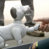 Sony запускает программу «приемных семей» для своих стареющих собачек-роботов