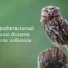 «Кто на ком стоял?» Про страдательный залог в технической документации