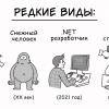 Откровения хэдхантеров. Как изменился рынок труда в IT за три года